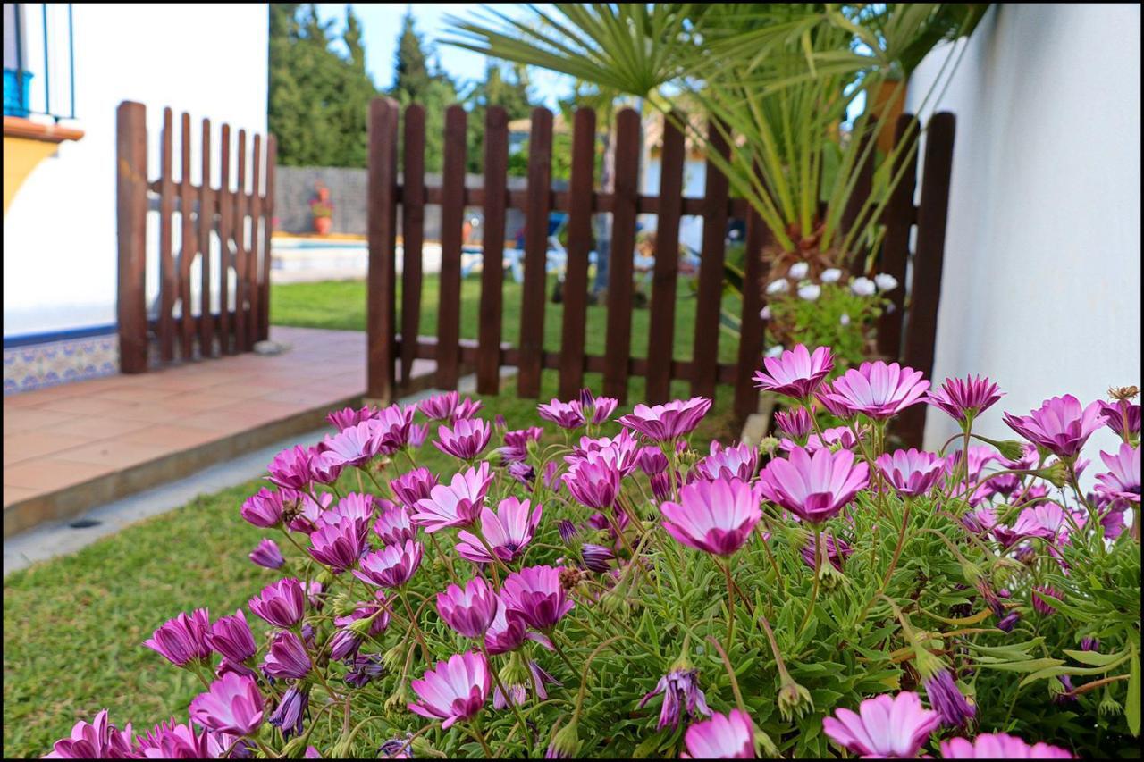 Chalet con piscina en Roche Viejo Conil De La Frontera Exterior foto